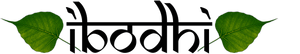 iBodhi.com