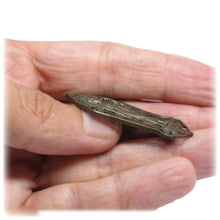 Standing Buddha Abhaya Mudra Unalome Thai Protection Amulet